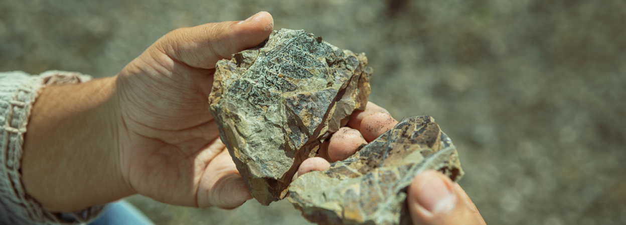 Viridien completes geological study offshore Malaysia