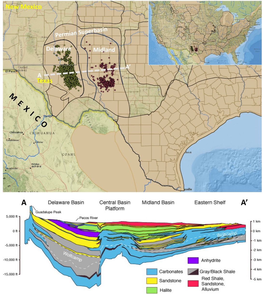 Wolfcamp Formation in the US Permian Superbasin: A tale of one source rock and two shale reservoirs