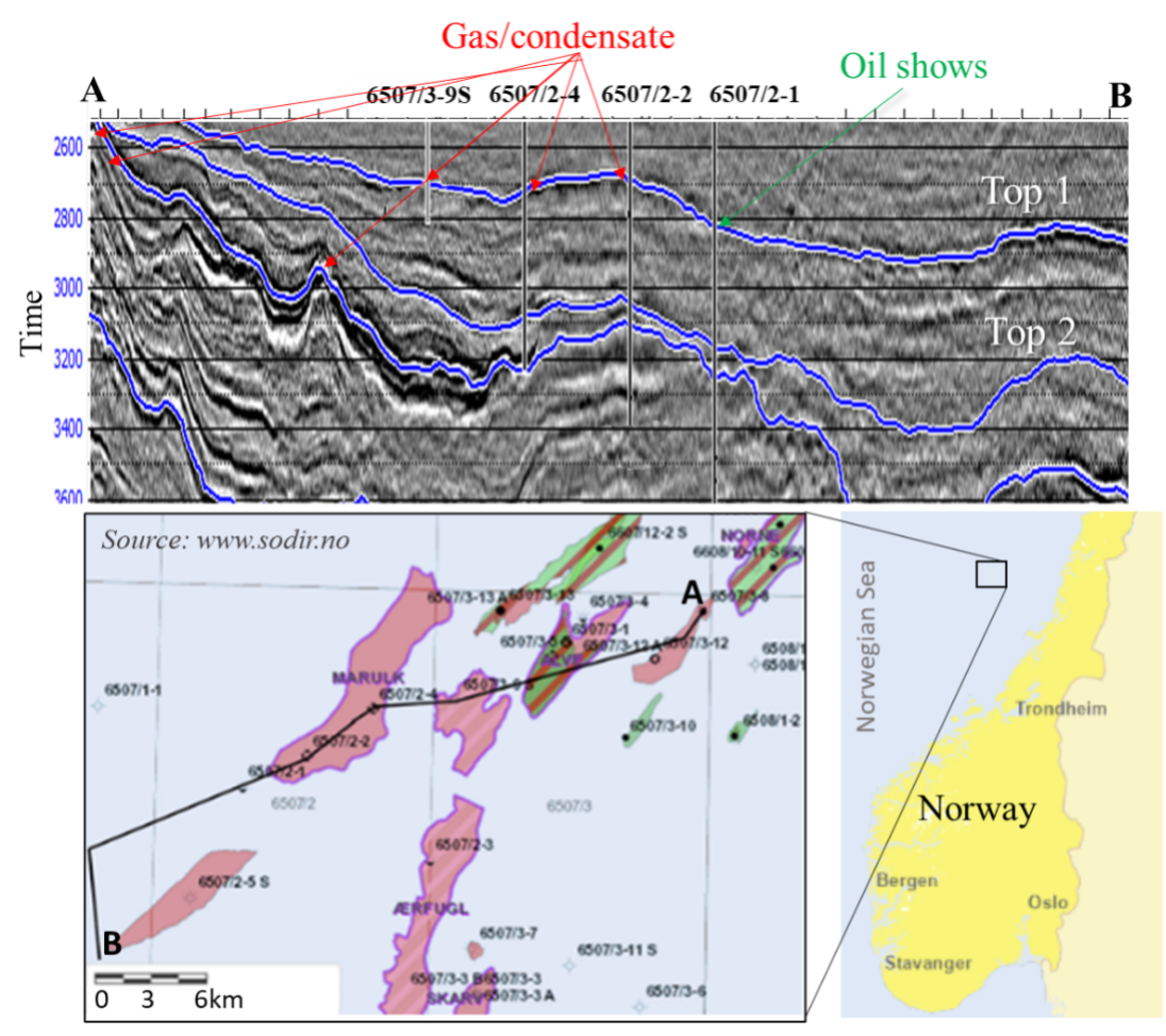 Fluid type prediction from seismic data using machine learning: A workflow from well logs to seismic recognition