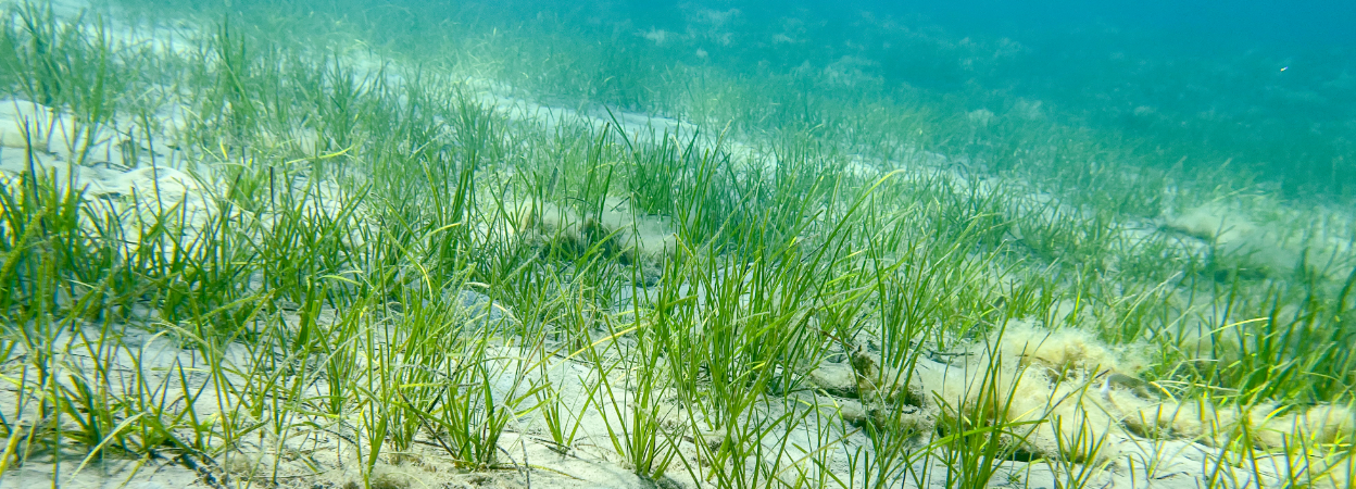 BGS project to map UK seabed geology for offshore planning