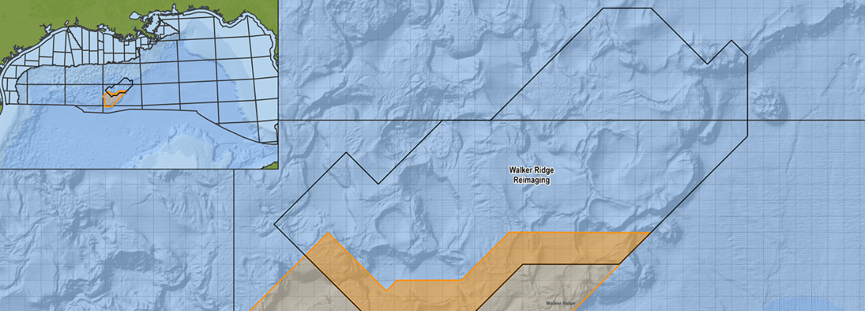 Viridien expands Walker Ridge reimaging programme in US Gulf